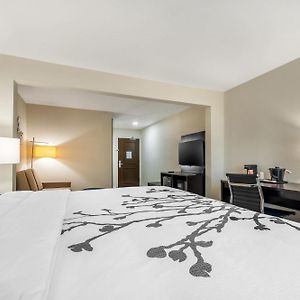 One Room Suite Non Smoking